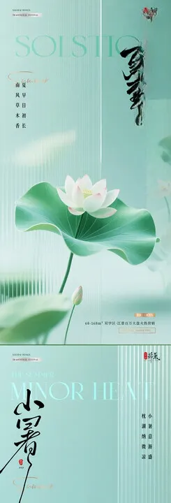 夏至小暑荷花意境海报