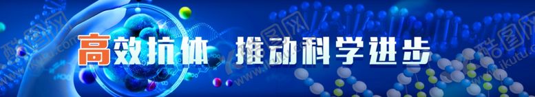编号：71868002091827129798【酷图网】源文件下载-高效抗体