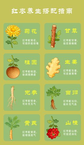 红枣养生搭配指南