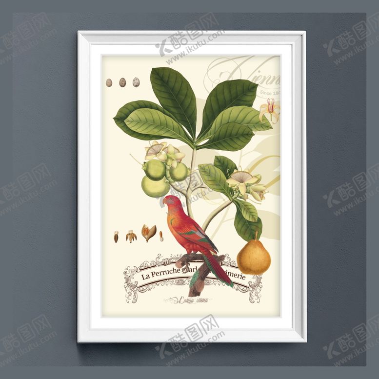 编号：19401509211911243648【酷图网】源文件下载-美式田园鹦鹉树叶装饰画