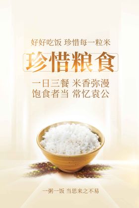 珍惜粮食公益活动宣传海报素材