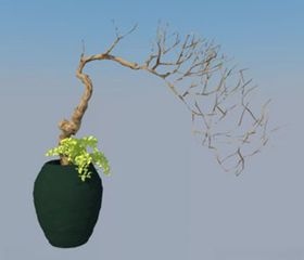 枯树花盆花卉树木