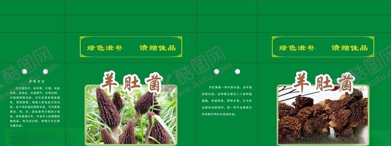 编号：42296410230831409640【酷图网】源文件下载-羊肚菌