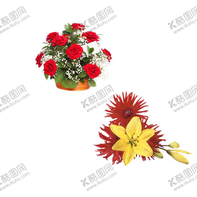 编号：25795406262303467879【酷图网】源文件下载-鲜花素材