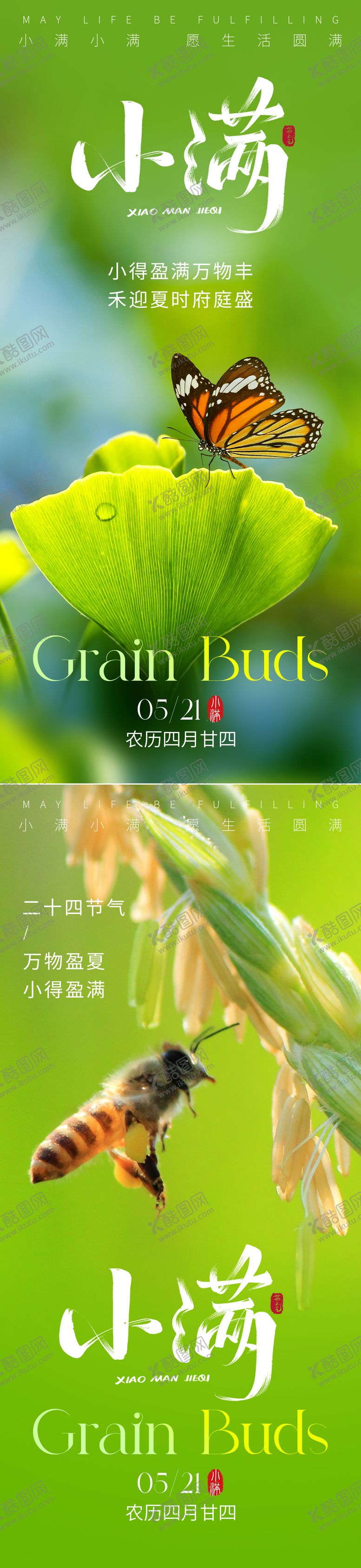 编号：74344805052315489023【酷图网】源文件下载-小满节气海报