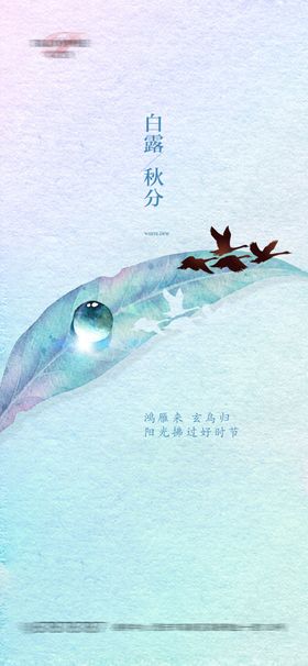 白露节气刷屏海报