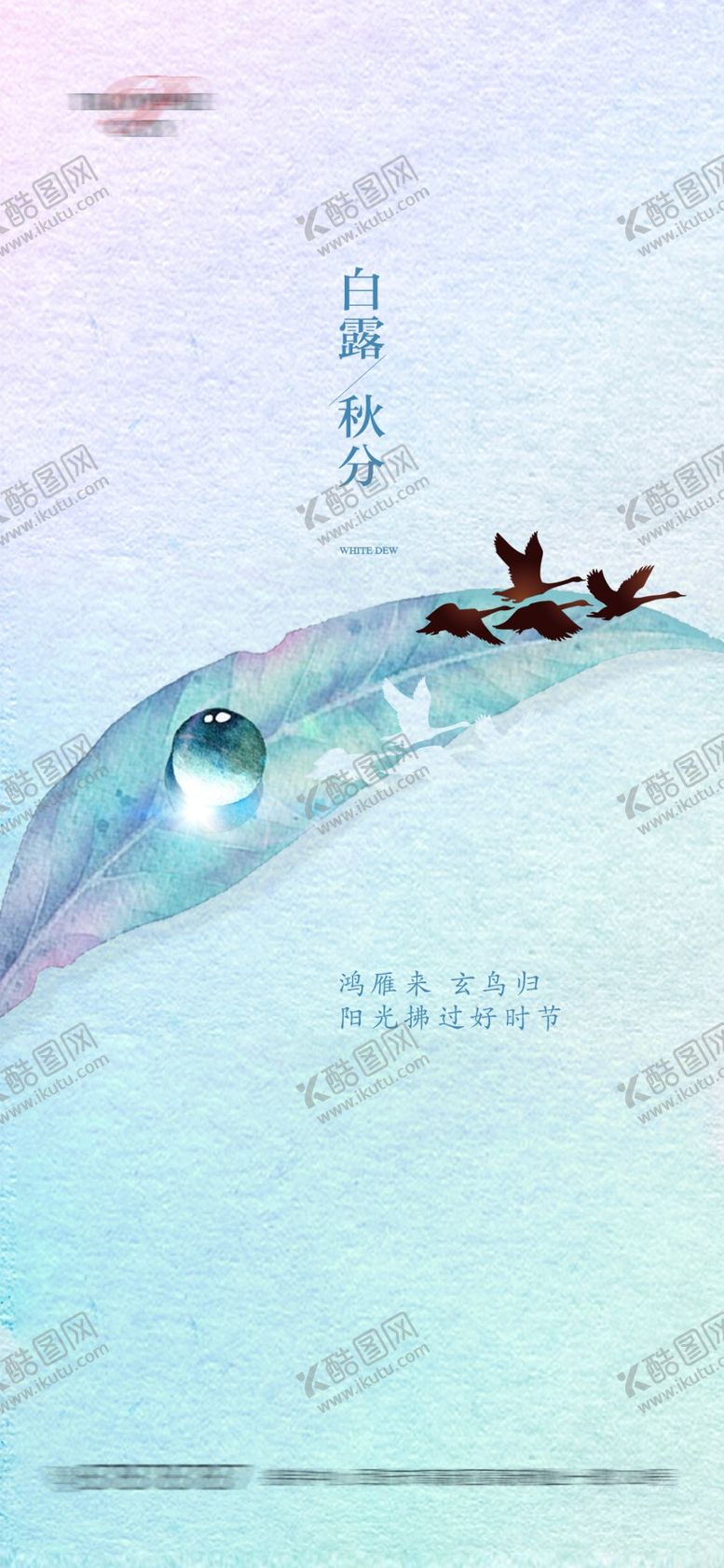 编号：52801605010856144235【酷图网】源文件下载-白露节气刷屏海报