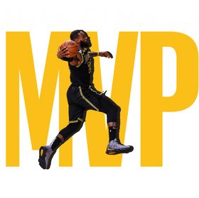 总冠军mvp