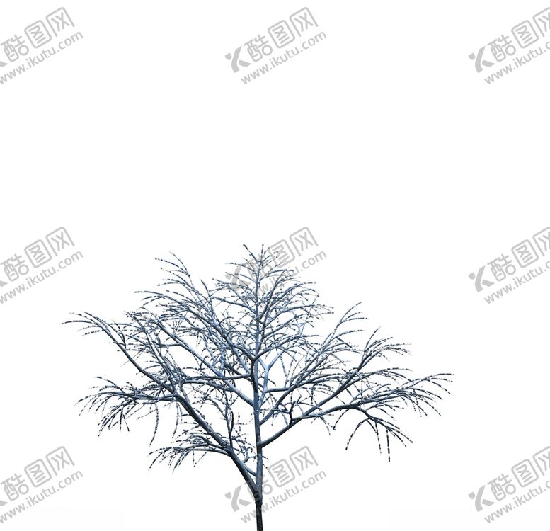 编号：41437810240828267565【酷图网】源文件下载-树木