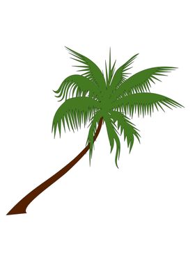 棕榈树
