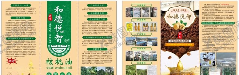 编号：13913205042222119927【酷图网】源文件下载-核桃油彩页