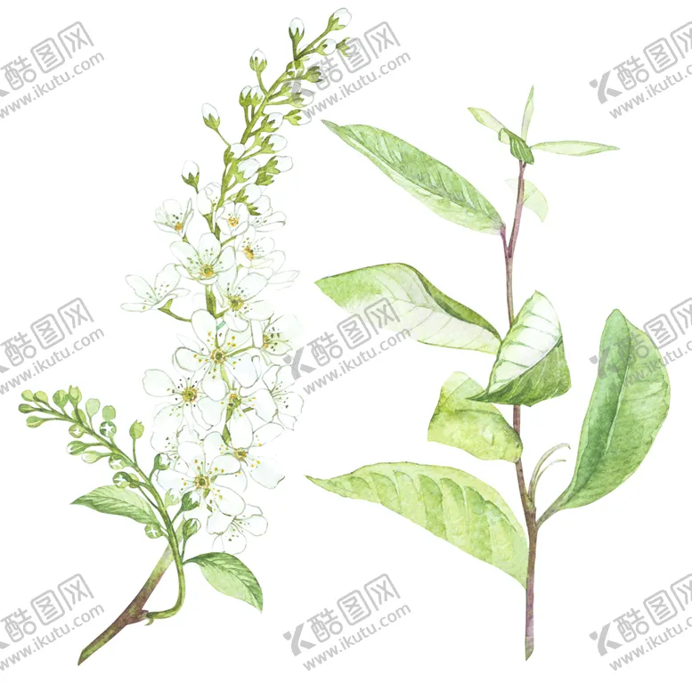 编号：85012409290032441213【酷图网】源文件下载-插画