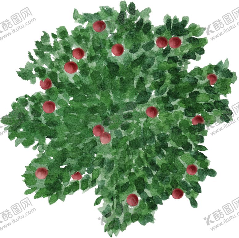 编号：71378804190318486145【酷图网】源文件下载-手绘植物