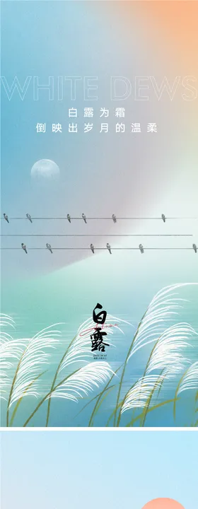 白露谷雨节气海报