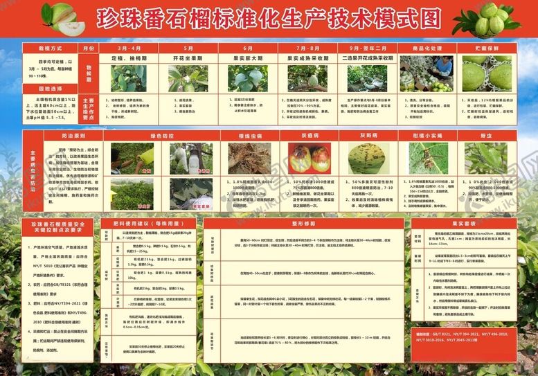 编号：45296712161138446390【酷图网】源文件下载-珍珠番石榴标准化生产技术模式图