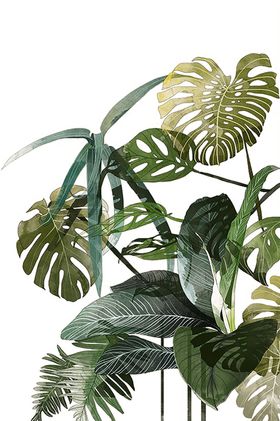绿色相框