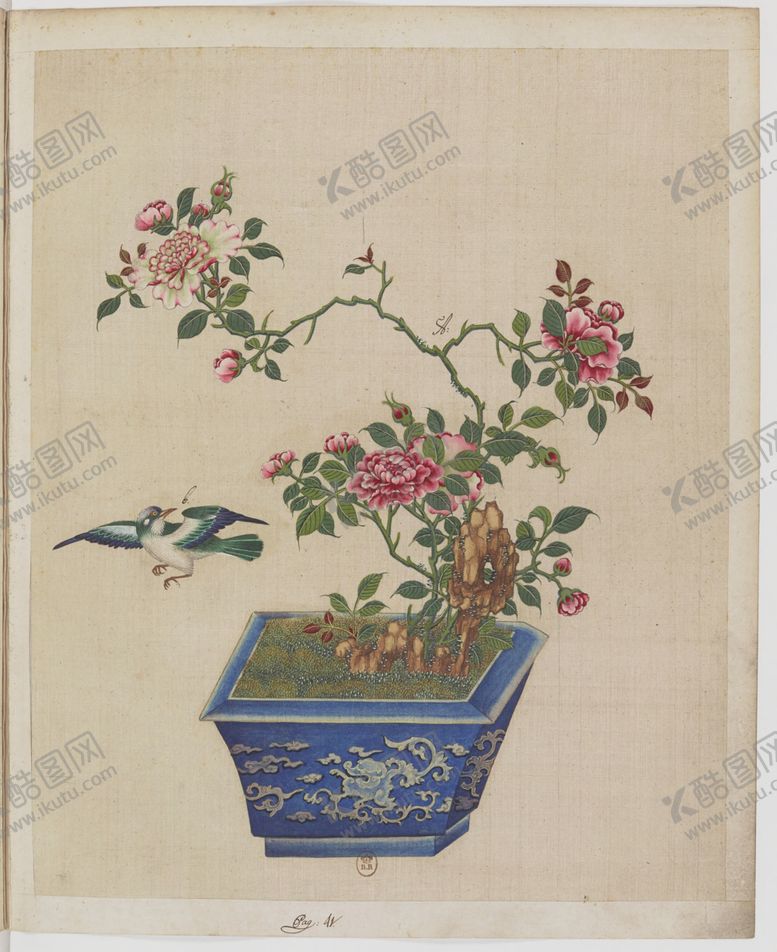 编号：56340104170020236794【酷图网】源文件下载-盆景花鸟