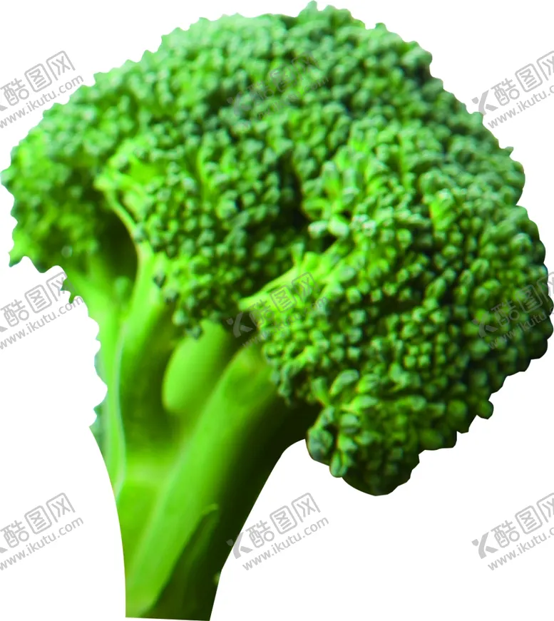 编号：58868504162016145971【酷图网】源文件下载-西蓝花花椰菜透明免抠素材