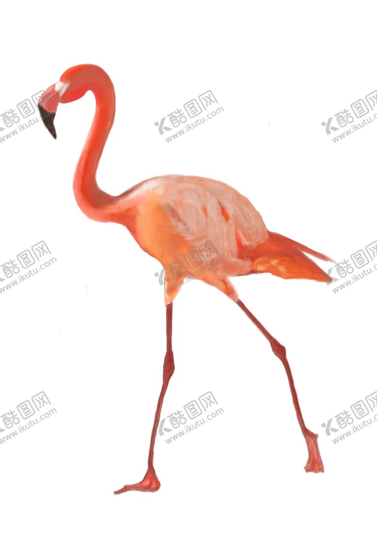 编号：46845807031413057892【酷图网】源文件下载-火鸟