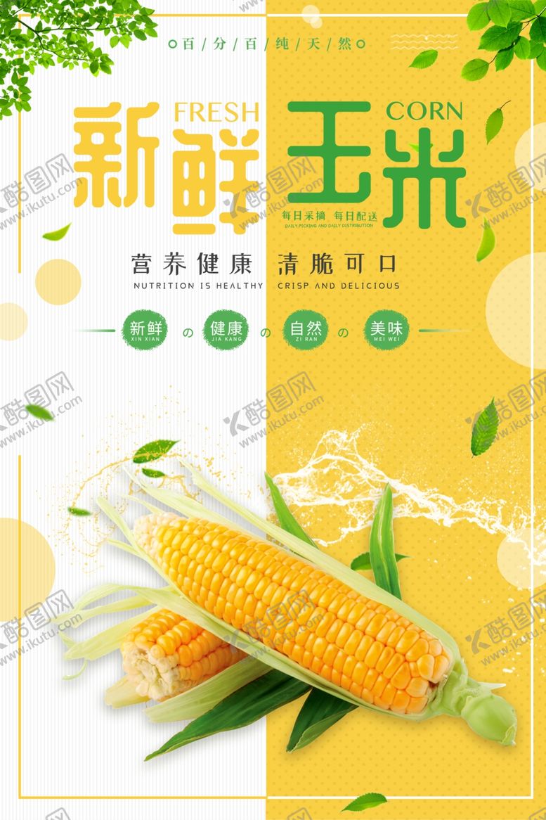 编号：73433801041041287751【酷图网】源文件下载-新鲜玉米
