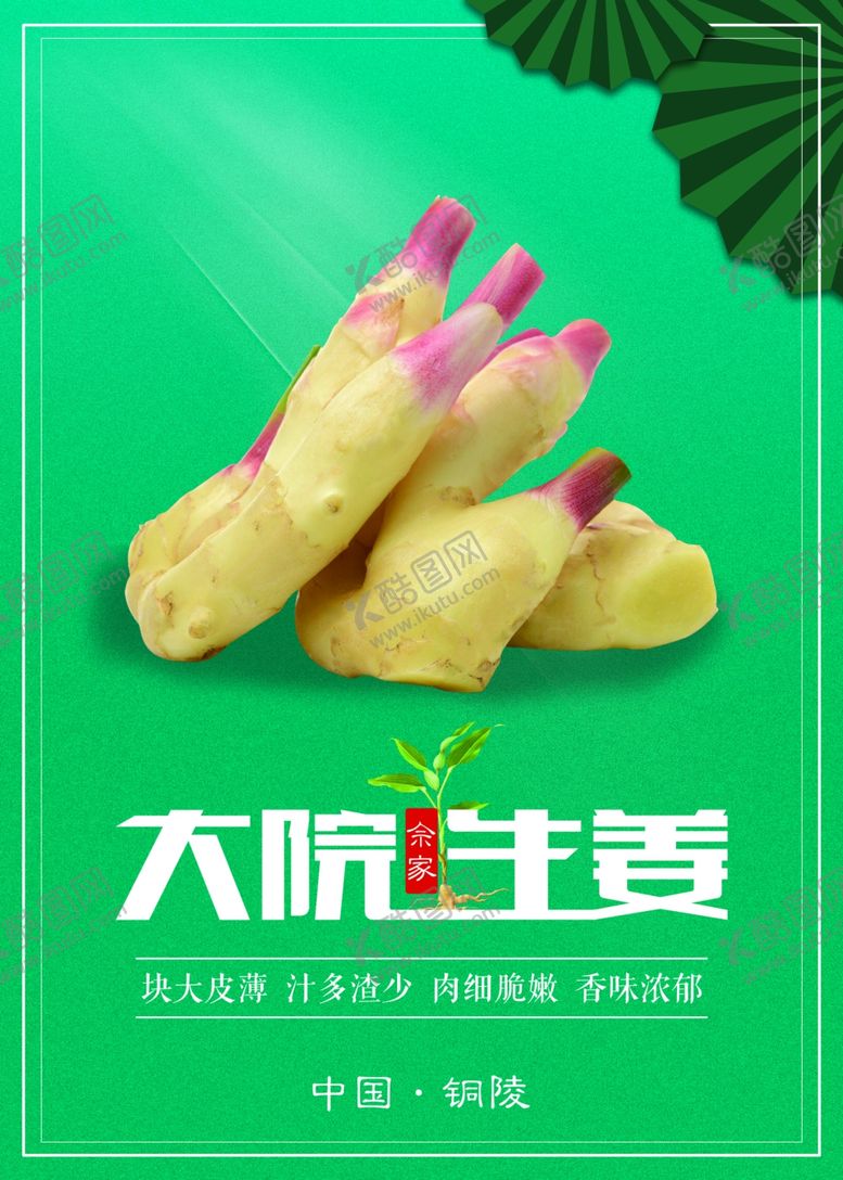 编号：16740910250806234364【酷图网】源文件下载-大院生姜