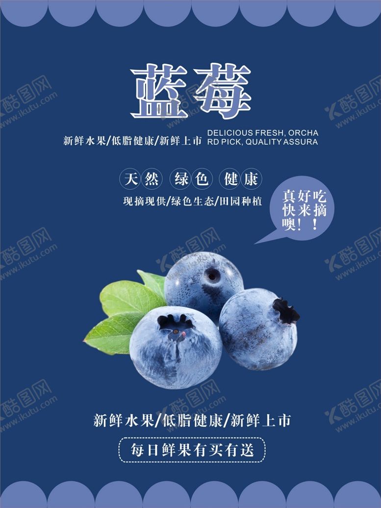 编号：96858902071321593422【酷图网】源文件下载-蓝莓海报