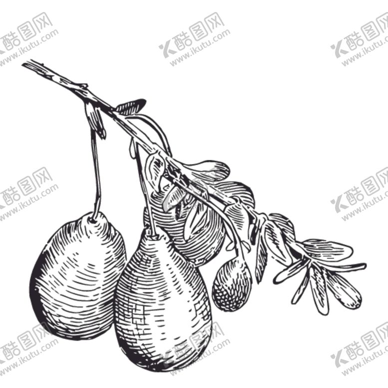 水果绘画线稿图案草莓AI树莓设计