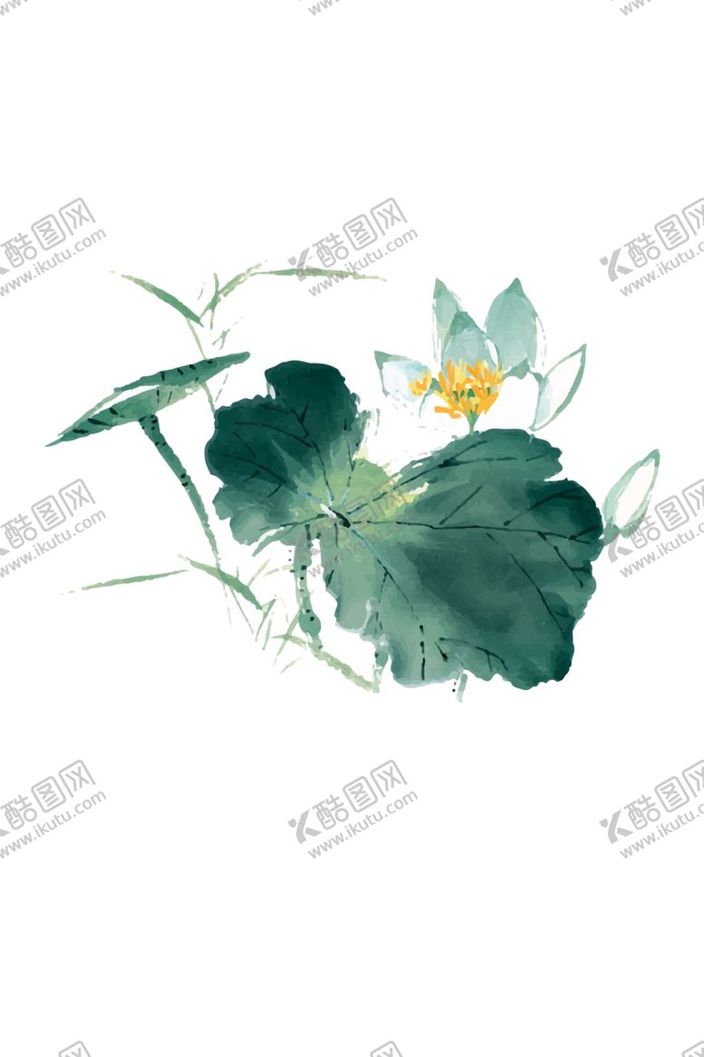 编号：59995010182225451826【酷图网】源文件下载-荷花
