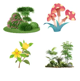 鲜花公园植物卉