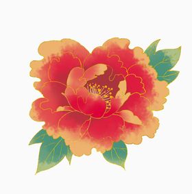牡丹花卉
