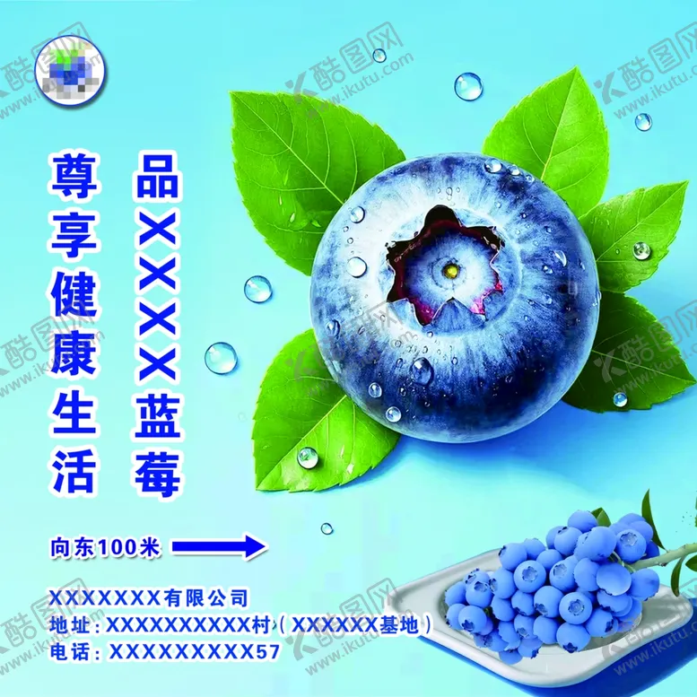 编号：94066002272148305390【酷图网】源文件下载-蓝莓