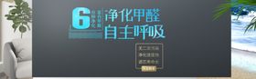 净化甲醛