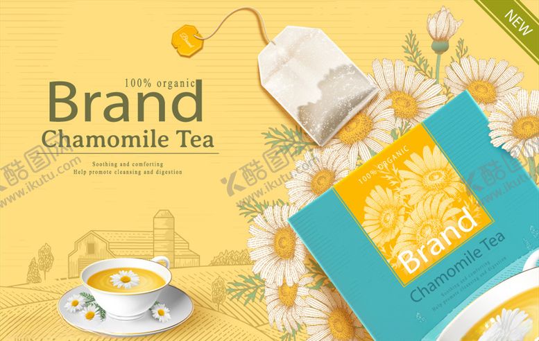 编号：40372006240222417831【酷图网】源文件下载-菊花茶