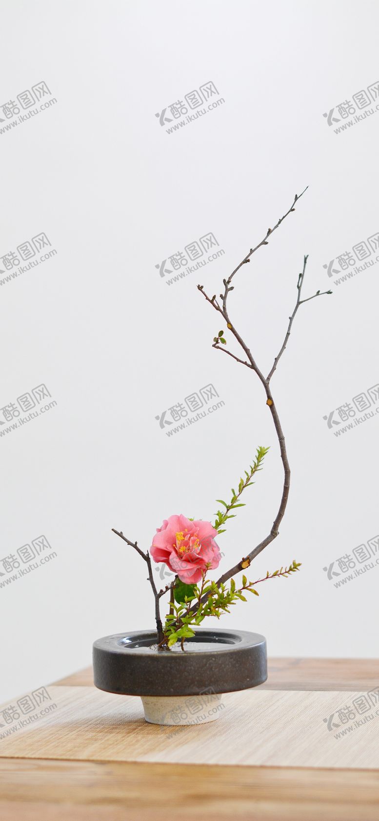 编号：22724305151001582500【酷图网】源文件下载-手机壁纸