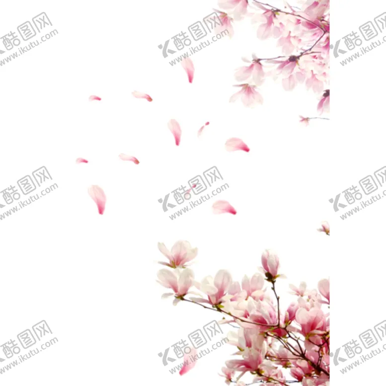 编号：94805005061146142648【酷图网】源文件下载-桃花
