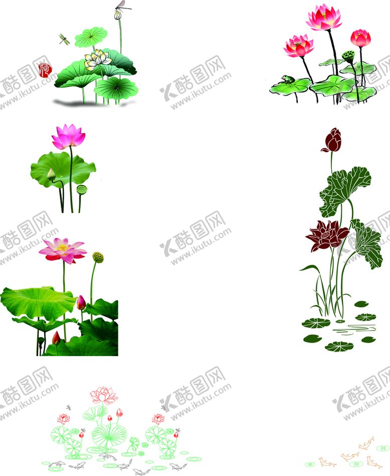 编号：90345809241024207053【酷图网】源文件下载-荷花