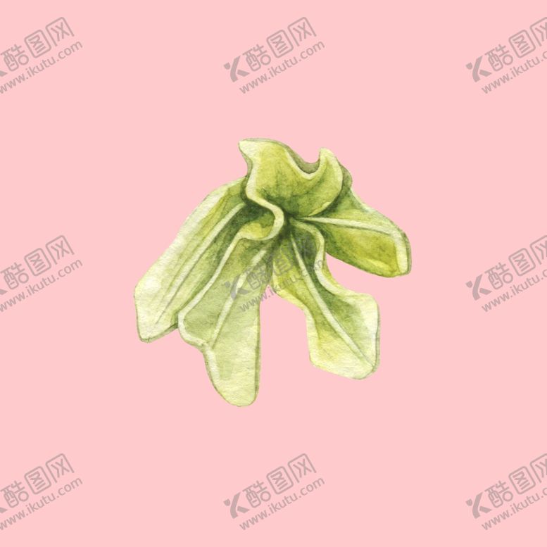 编号：35262707060003136435【酷图网】源文件下载-水彩植物