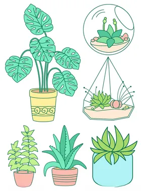植物