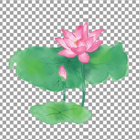 透明底荷花装饰中国画叶元素手绘元素