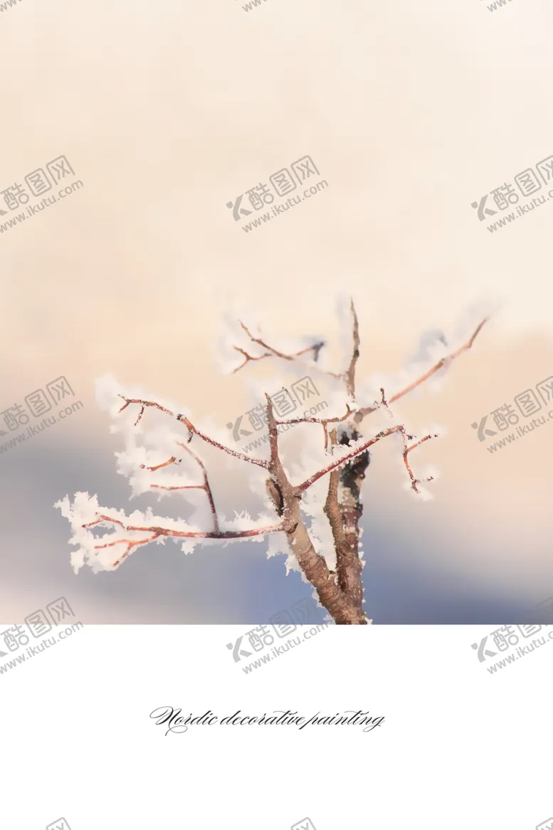 编号：30126103191607038481【酷图网】源文件下载-花卉装饰画