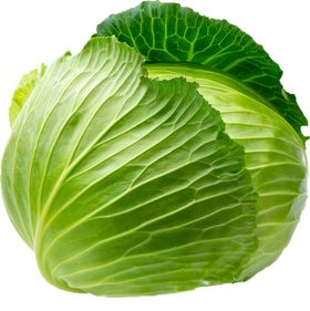 白菜