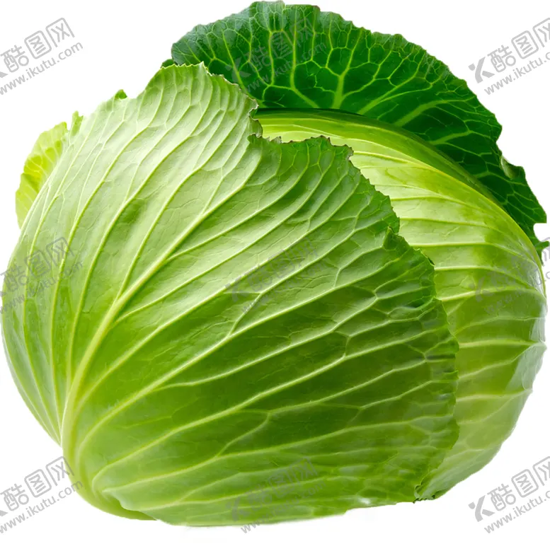 编号：29970406272356563816【酷图网】源文件下载-白菜
