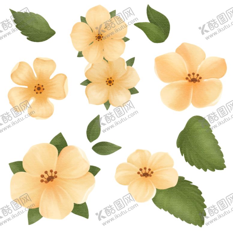 编号：81162811020903567612【酷图网】源文件下载-水彩花卉