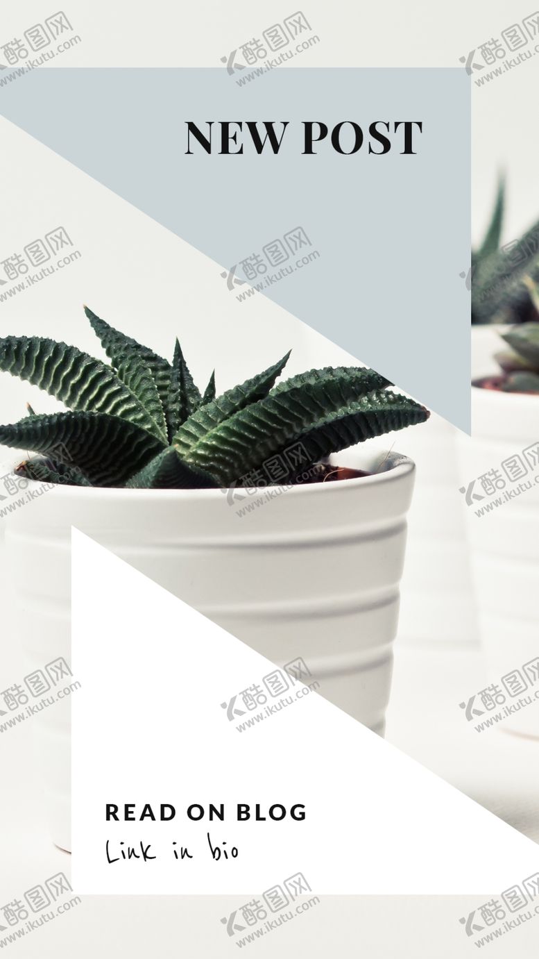 编号：85670909230853012323【酷图网】源文件下载-ins风版面创意设计