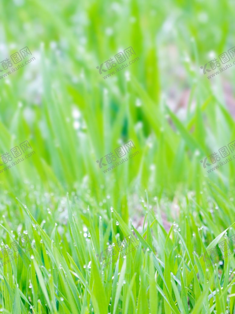 编号：59673810091500117583【酷图网】源文件下载-绿色