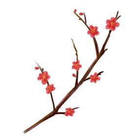 梅花素材