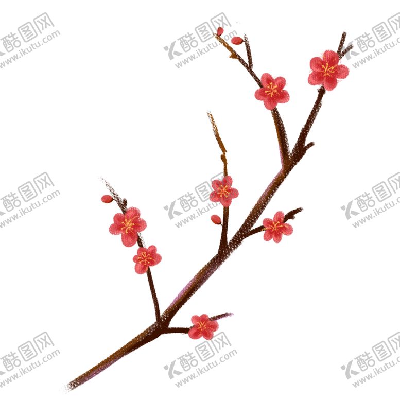 编号：67298505190131279998【酷图网】源文件下载-梅花素材