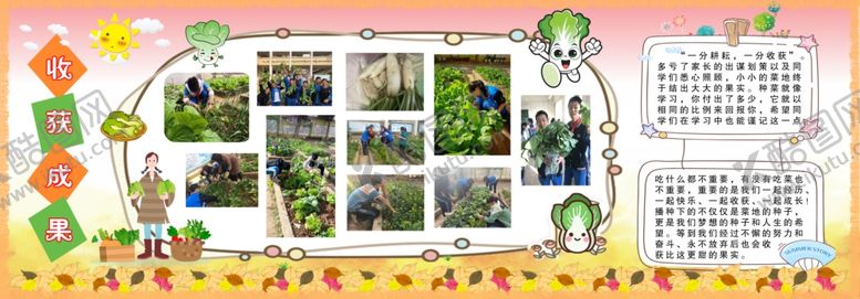 编号：22812910121012206970【酷图网】源文件下载-种植蔬菜收获成果