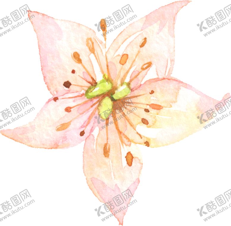 编号：32244909260610345100【酷图网】源文件下载-水彩手绘花卉花朵植物