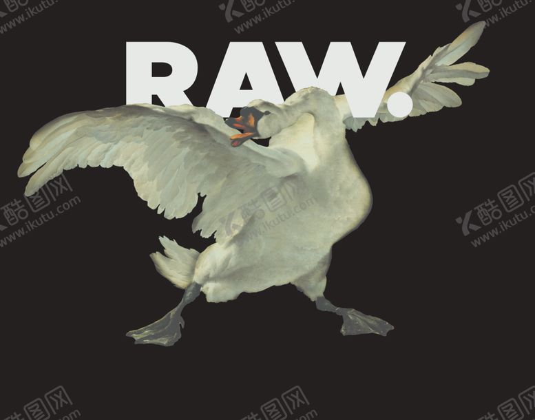 编号：33098510071341096574【酷图网】源文件下载-黑底鹅